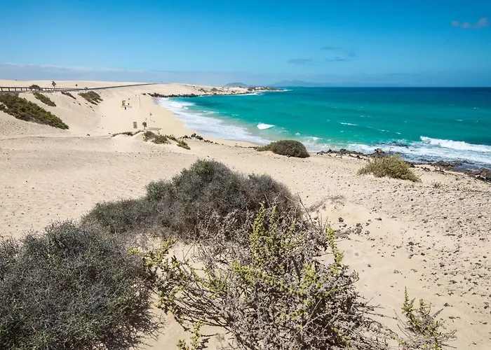 Home2book Ocean Heaven Terrace & Pool In アパート *