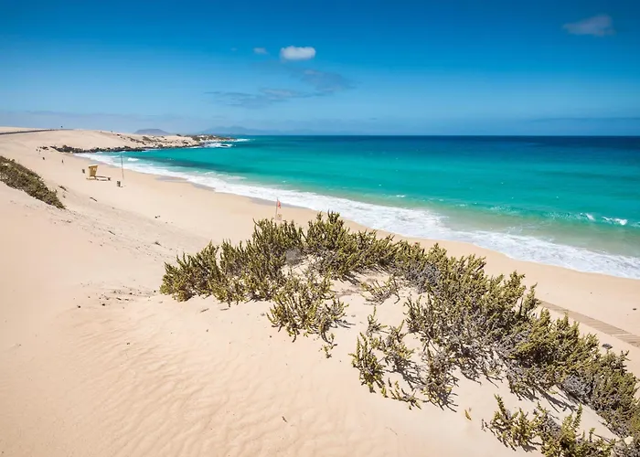 Home2book Ocean Heaven Terrace & Pool In アパート