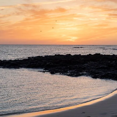 Home2book Ocean Heaven Terrace & Pool In Appartement